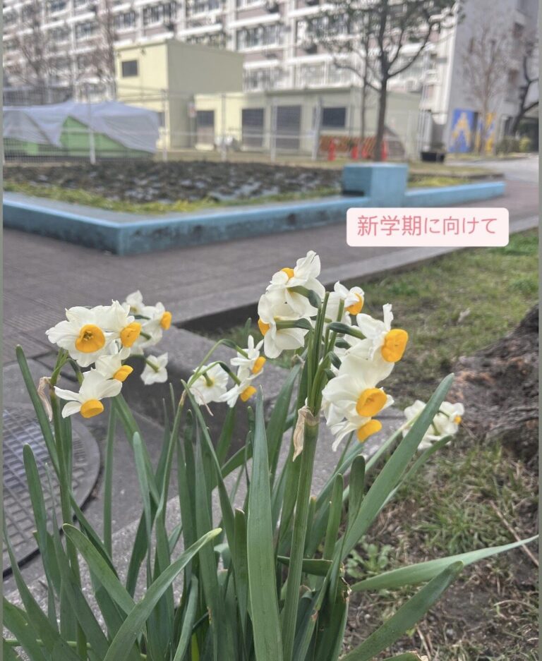新学期に向けて🌸