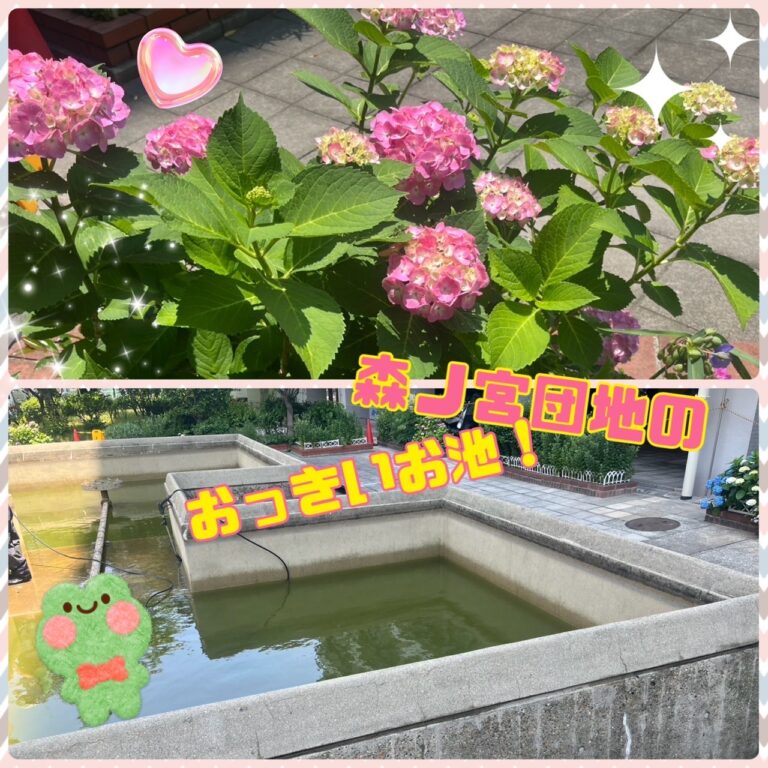 🌹森之宮団地の風物詩🌹