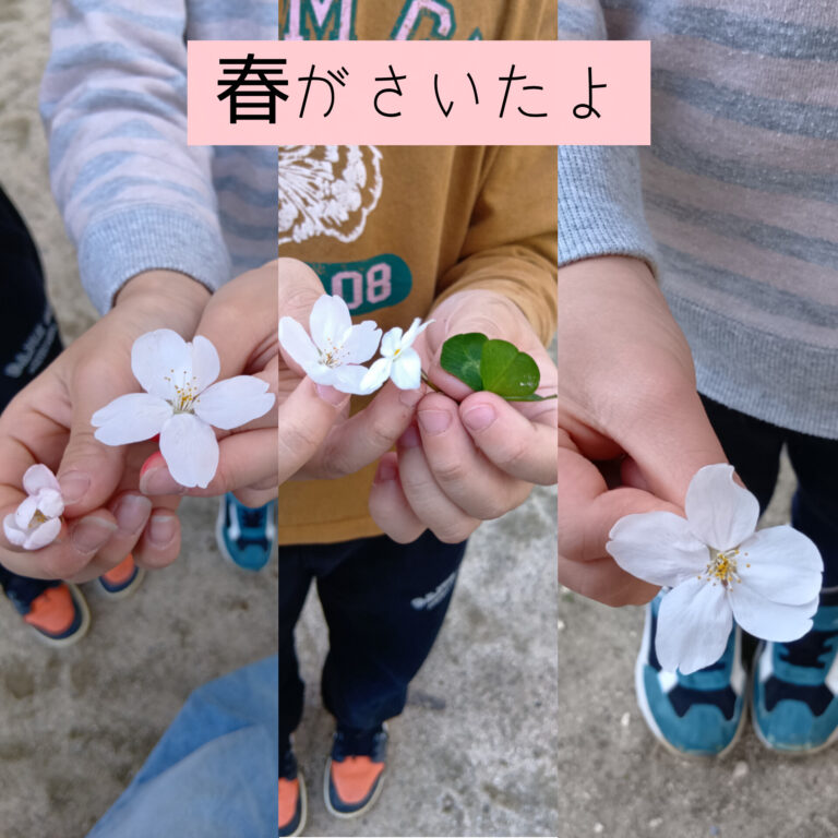 春がさいたよ🌸