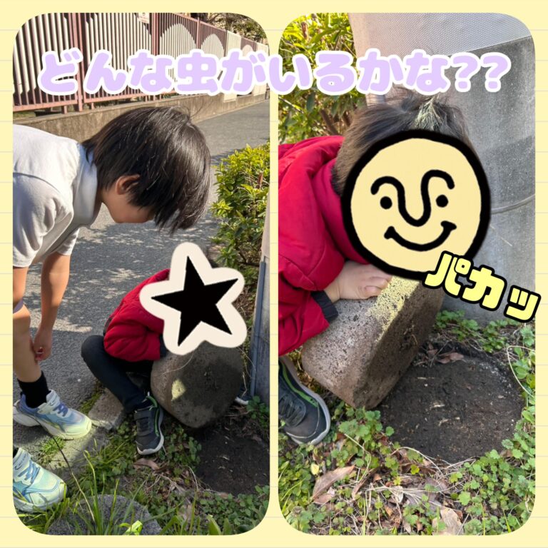 虫探し🐛