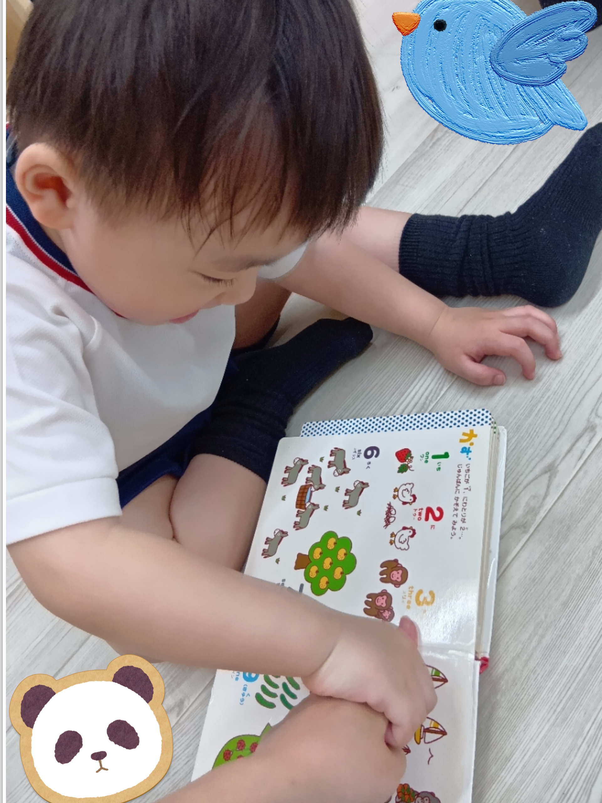 図鑑に夢中です♪