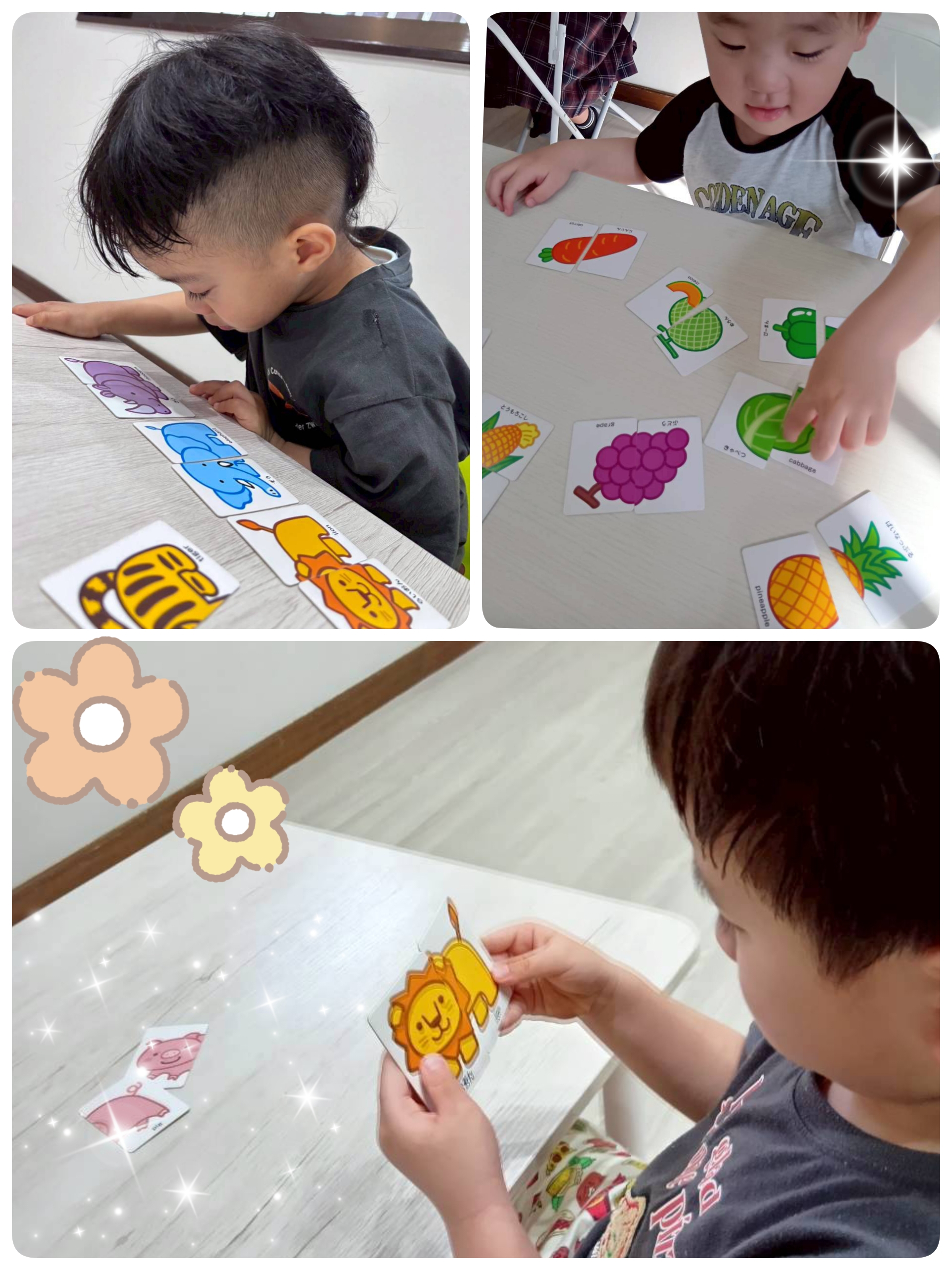 絵合わせカードで楽しく学ぼう！🐻