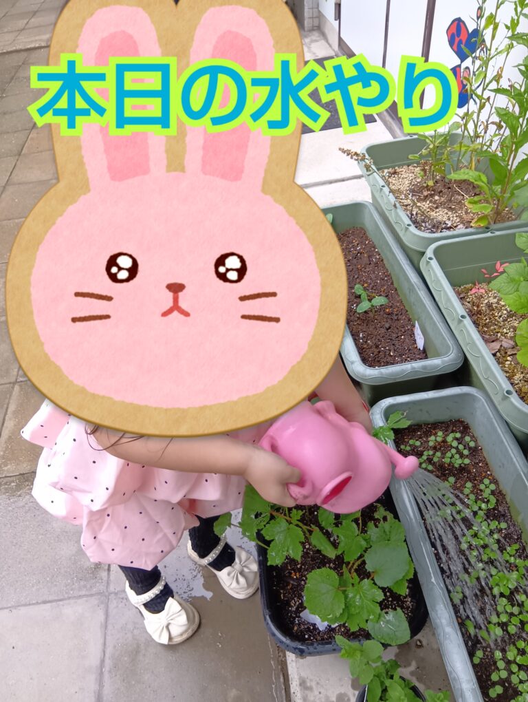 水やりをしました！