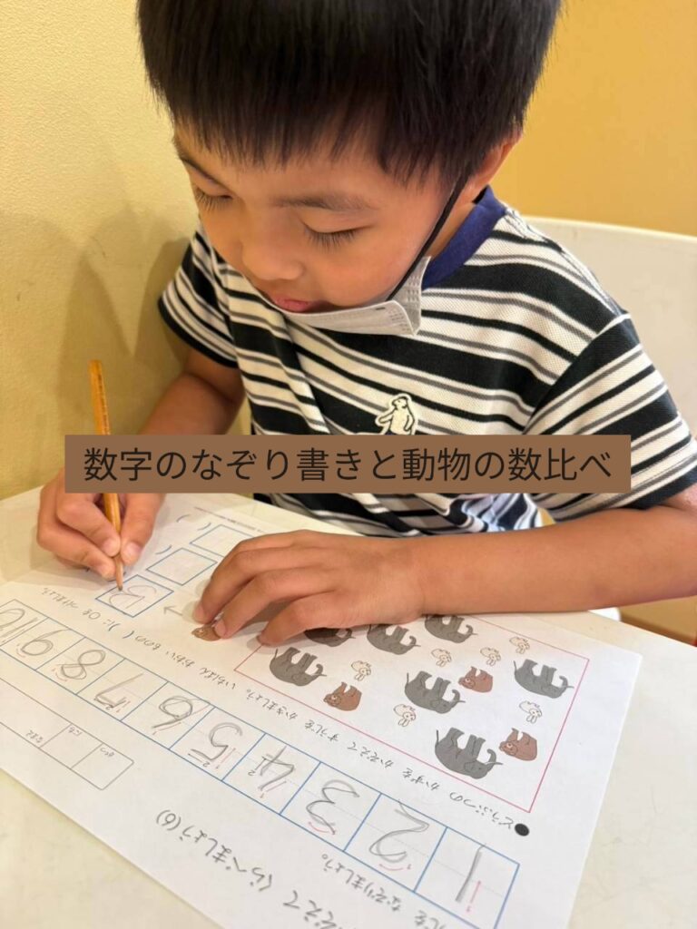 数字のなぞり書きと動物の数比べ🐘✏️
