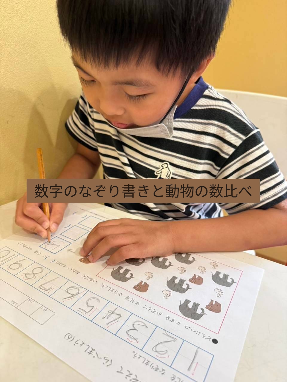 数字のなぞり書きと動物の数比べ🐘✏️