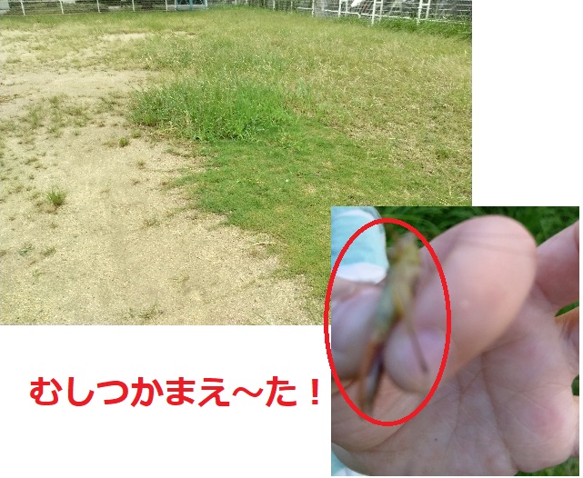 10月になりました